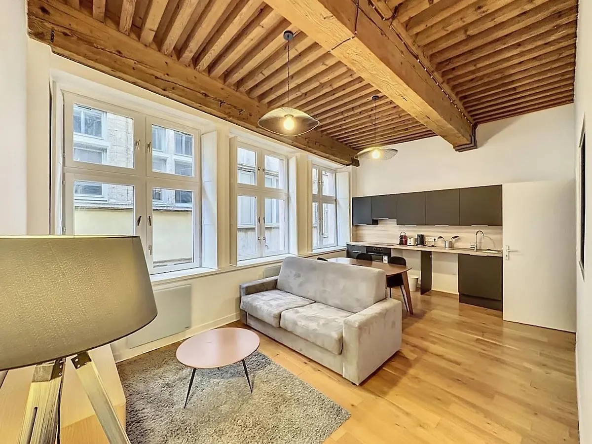 Cosy Appt Coeur De Lyon Du Boeuf 3 Appartement Frankrijk